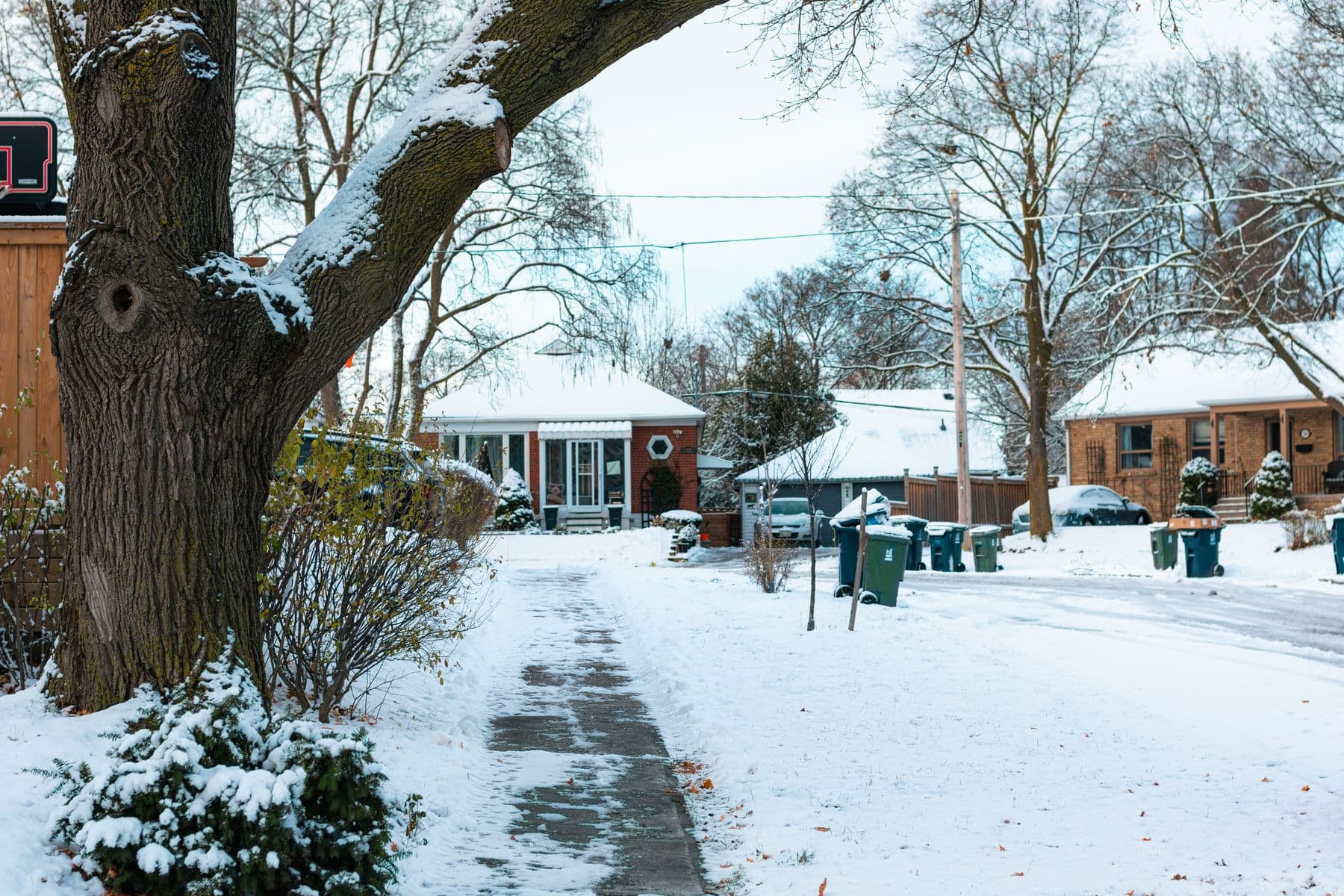 A snowy residential street in Toronto with a shovelled sidewalk and brick houses